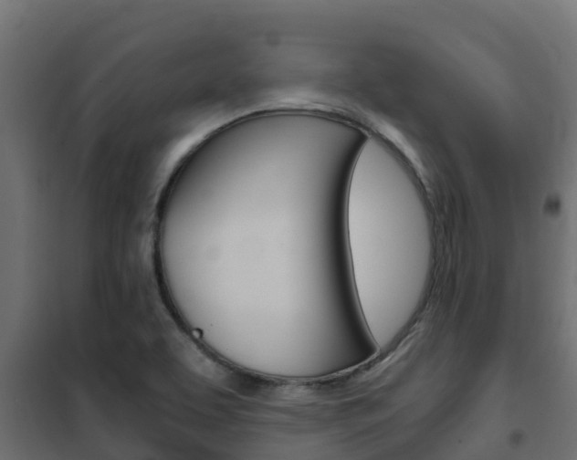 X0000102471463200808080957