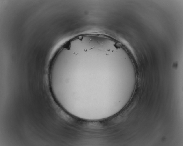 X0000102471464200808080957