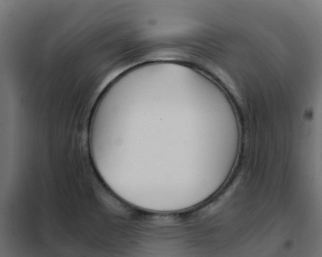 X0000102471465200808080957