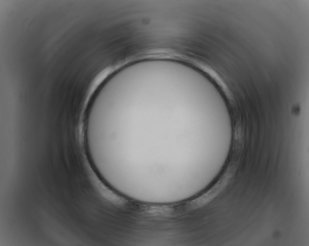 X0000102471466200808080957