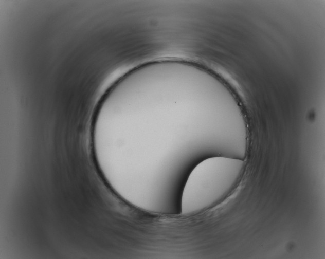 X0000102471469200808080957