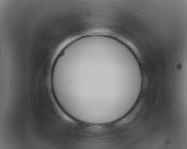 X0000102471470200808080957