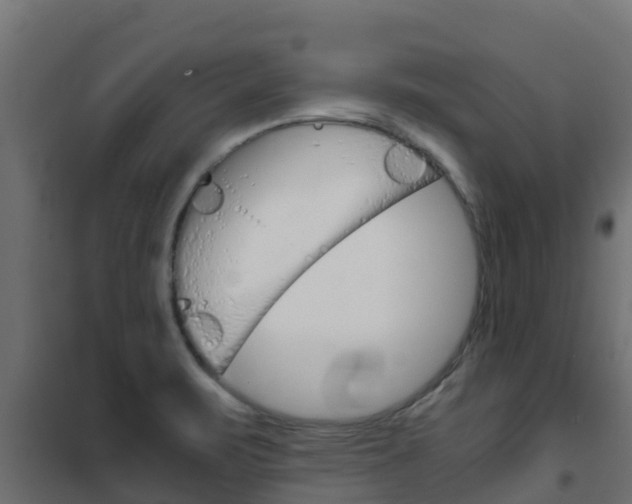 X0000102471471200808080957