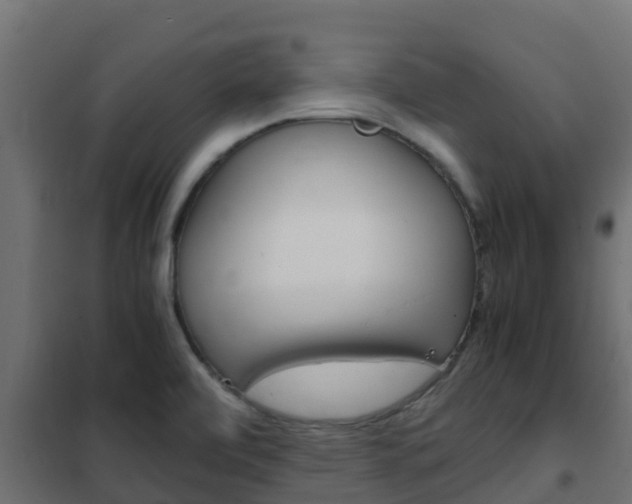 X0000102471472200808080957
