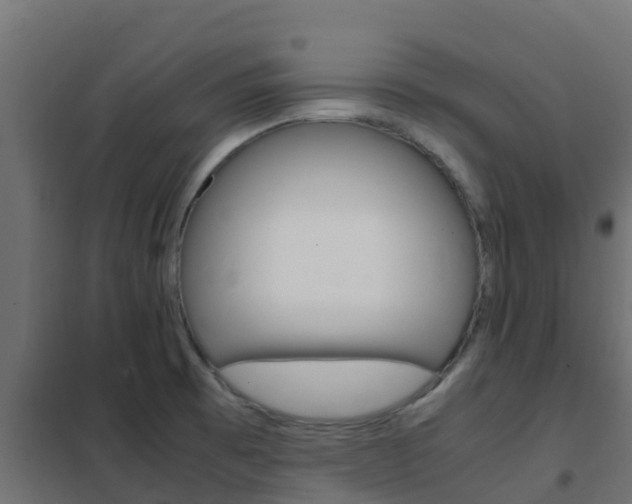 X0000102471473200808080957