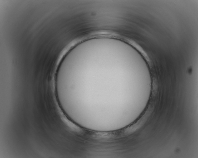 X0000102471474200808080957