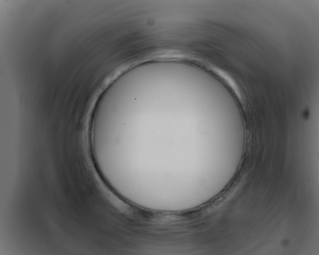 X0000102471475200808080957