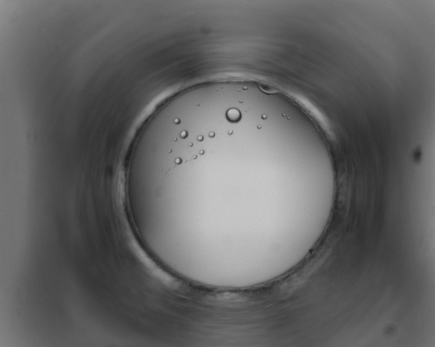 X0000102471476200808080957