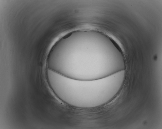 X0000102471477200808080957