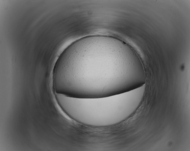 X0000102471479200808080957