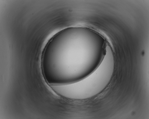 X0000102471480200808080957