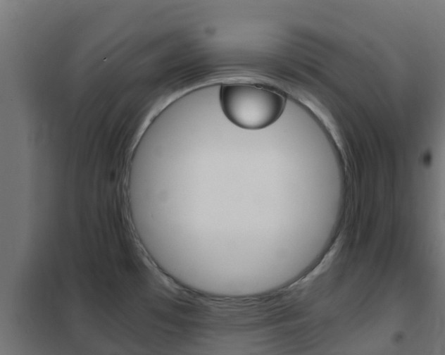 X0000102471481200808080957