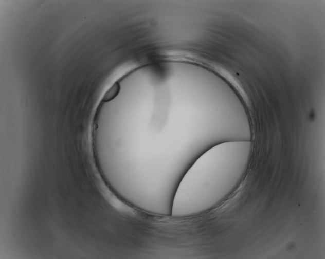 X0000102471482200808080957