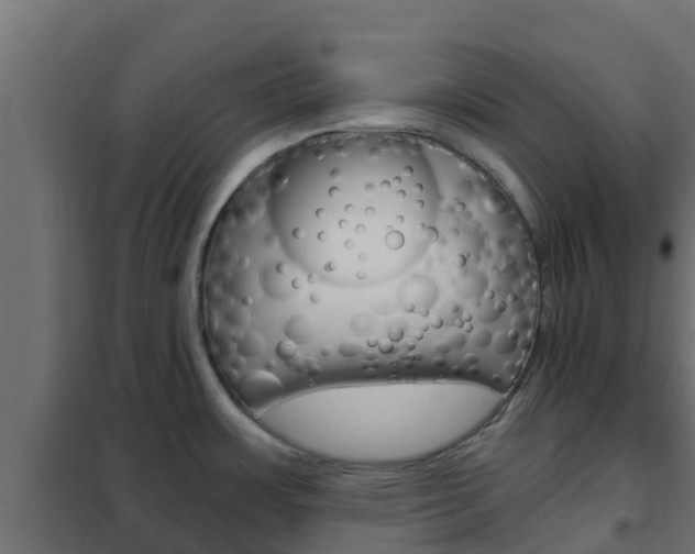 X0000102471483200808080957