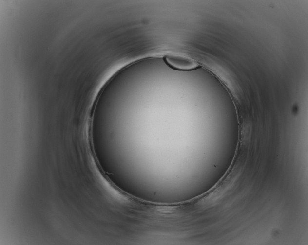 X0000102471484200808080957