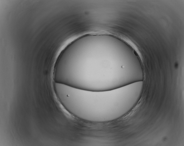 X0000102471485200808080957