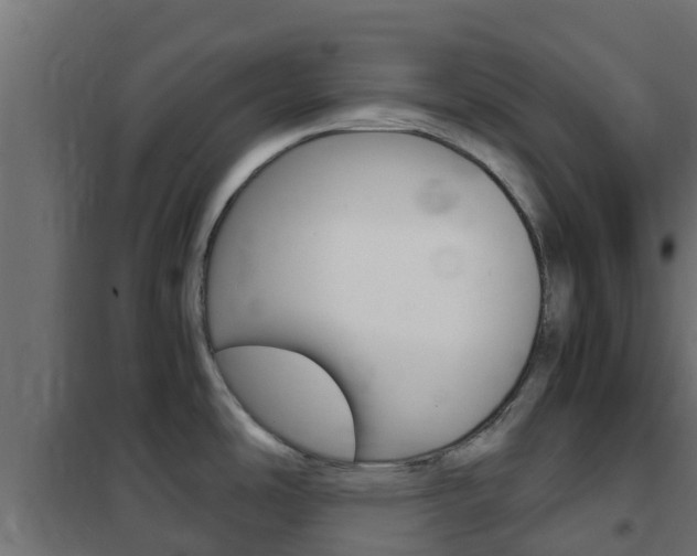 X0000102471486200808080957