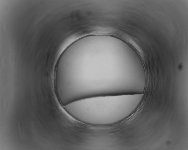 X0000102471487200808080957