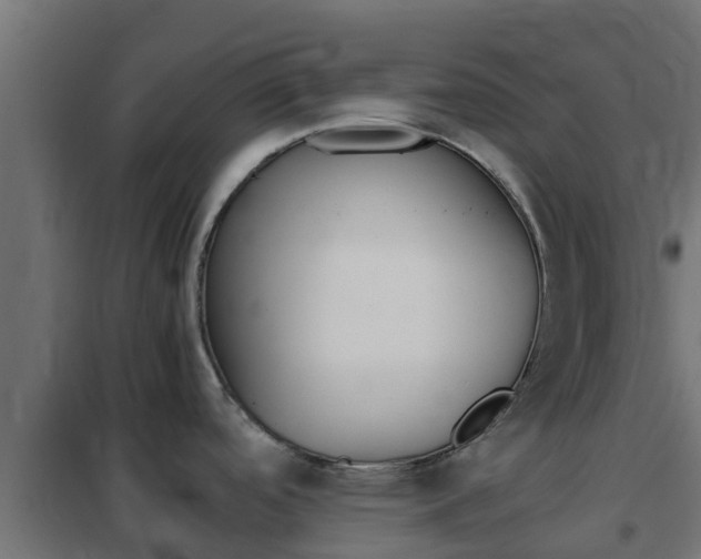 X0000102471488200808080957
