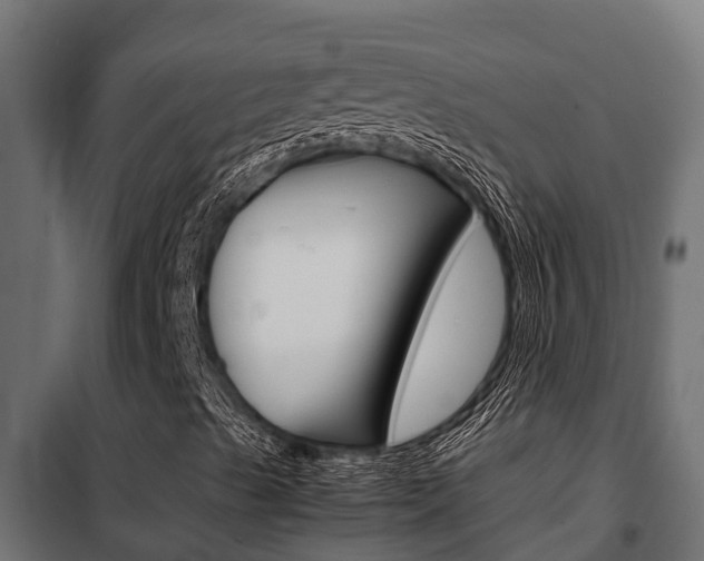 X0000102471489200808080956