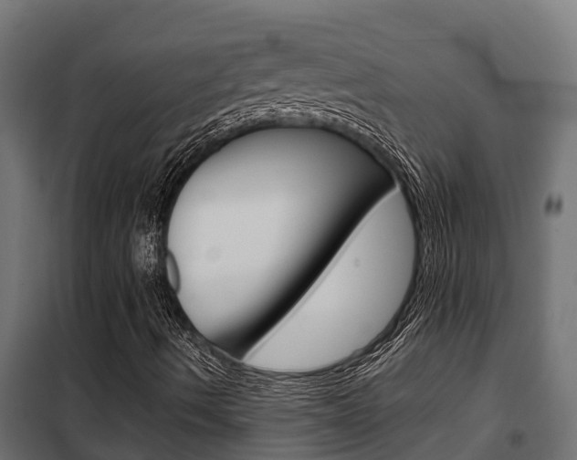 X0000102471490200808080956
