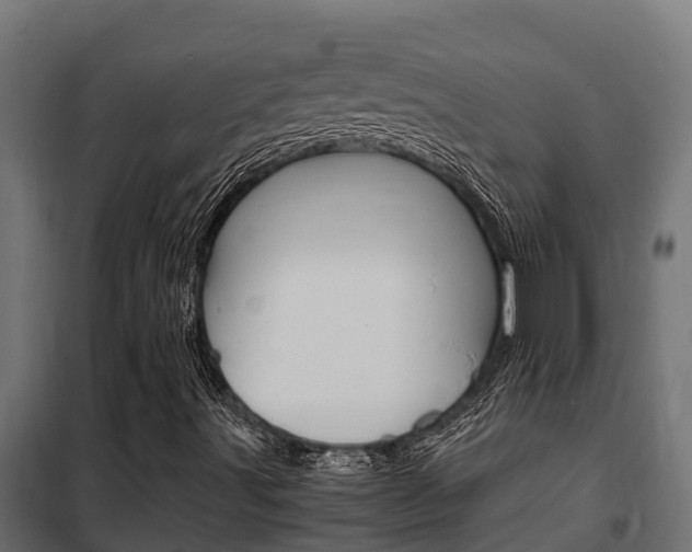 X0000102471491200808080956