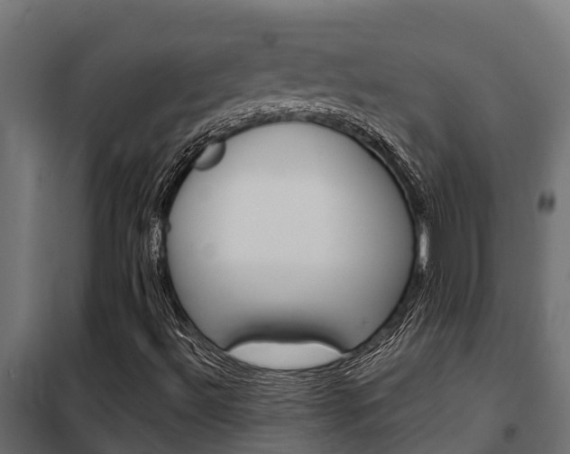 X0000102471492200808080956