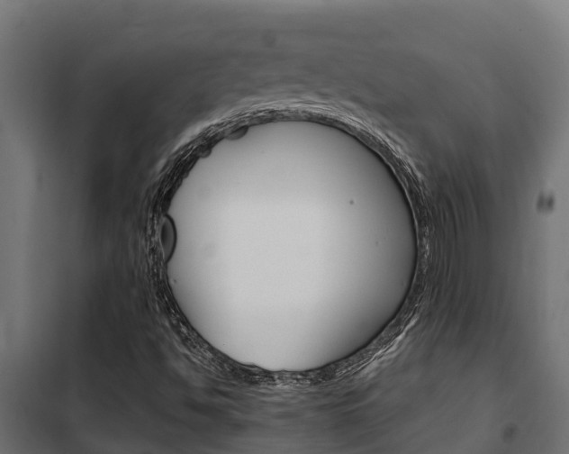 X0000102471494200808080956