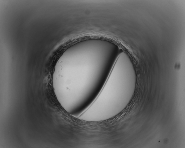 X0000102471495200808080956