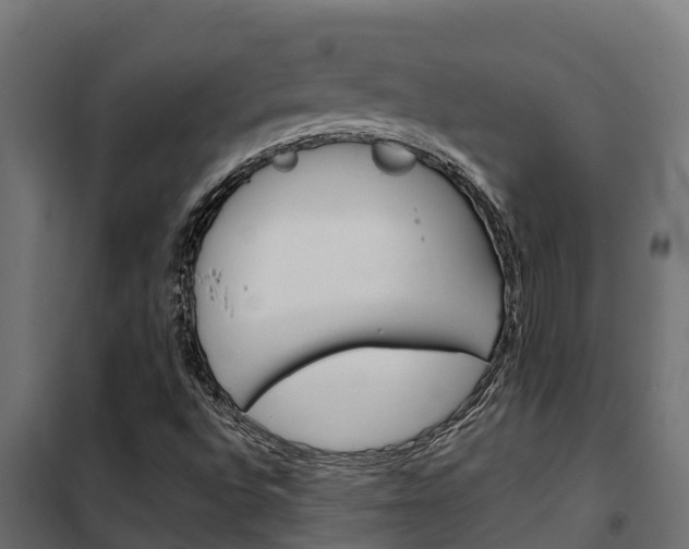 X0000102471496200808080956