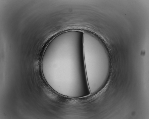 X0000102471497200808080956