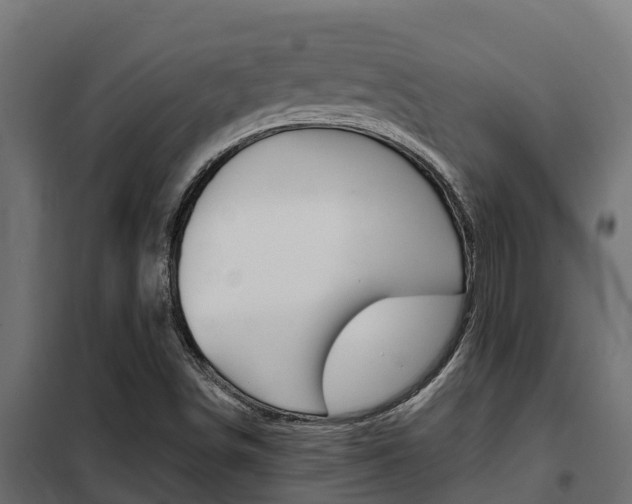 X0000102471498200808080956
