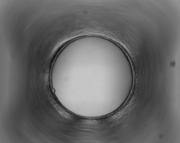 X0000102471499200808080956