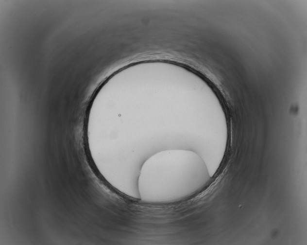 X0000102471500200808080956