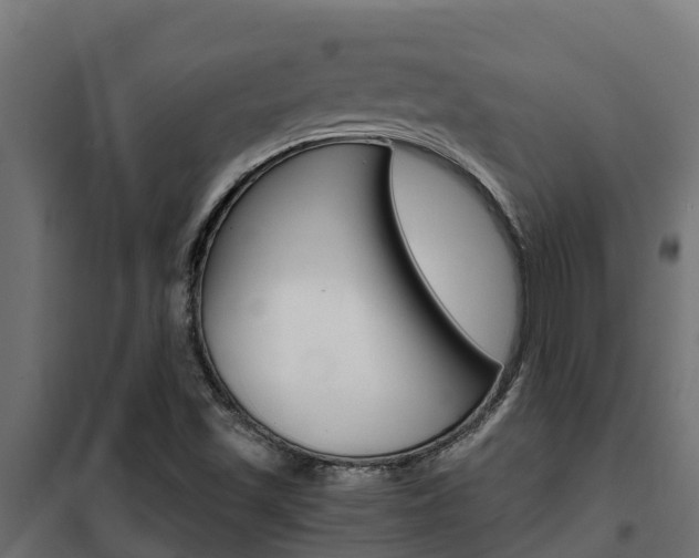 X0000102471501200808080956