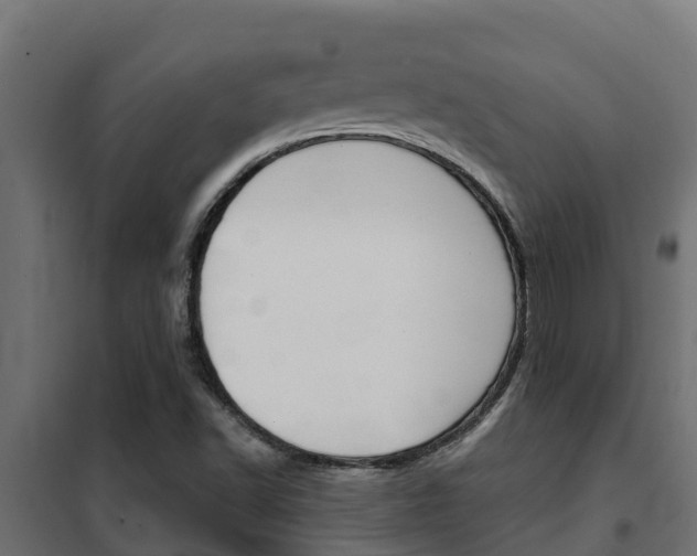 X0000102471502200808080956
