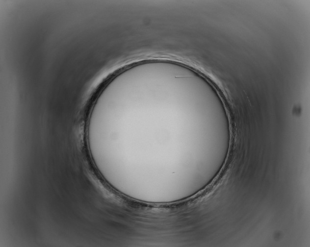 X0000102471503200808080956