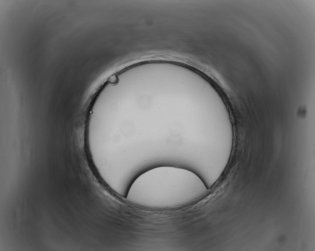 X0000102471504200808080956