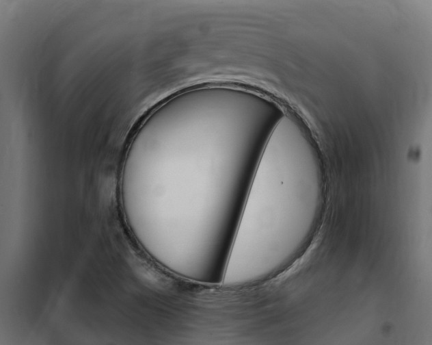 X0000102471505200808080956