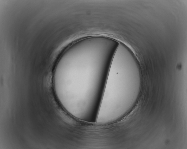 X0000102471507200808080957
