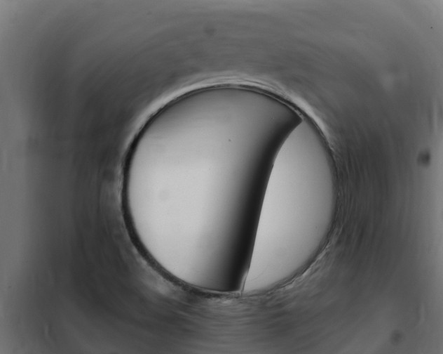 X0000102471508200808080957
