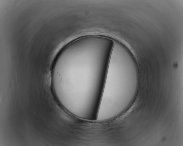 X0000102471509200808080957