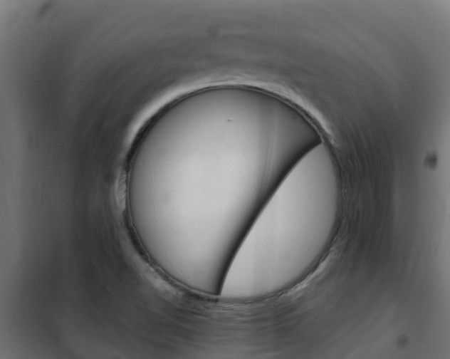 X0000102471510200808080957