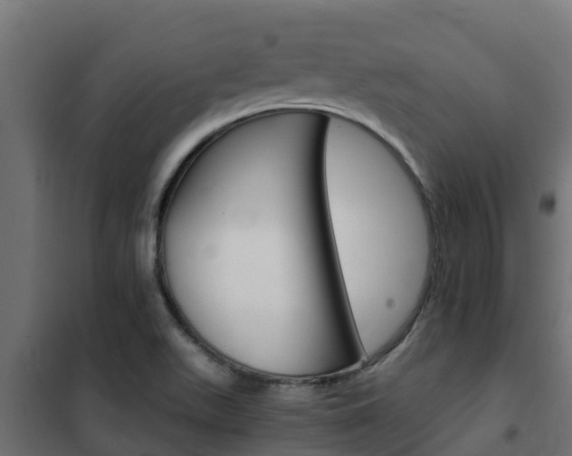 X0000102471511200808080957