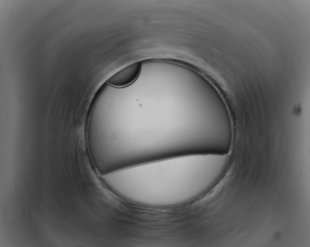 X0000102471513200808080957