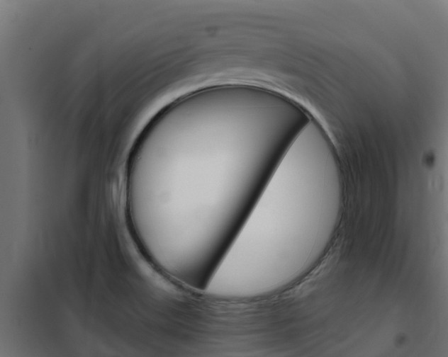 X0000102471515200808080957