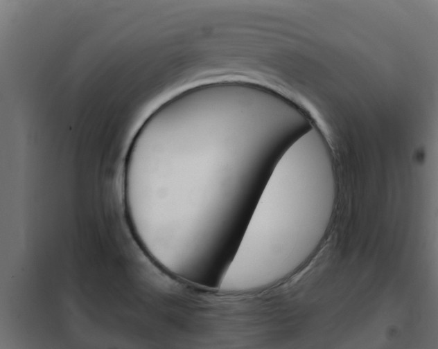 X0000102471516200808080957