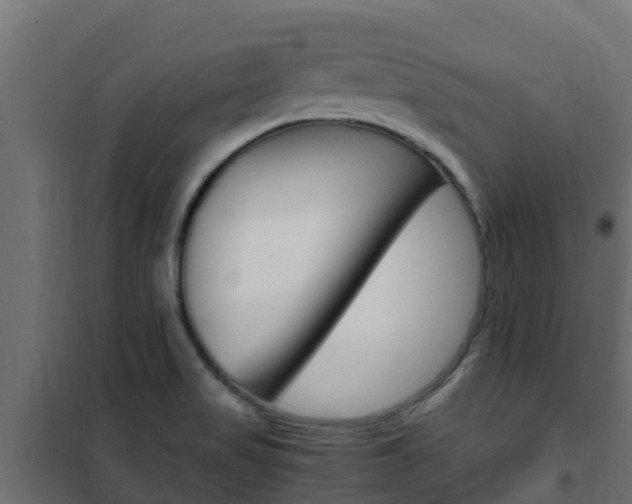 X0000102471517200808080957
