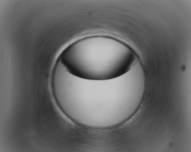 X0000102471518200808080957