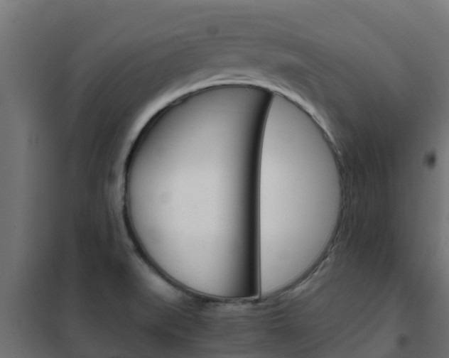 X0000102471519200808080957